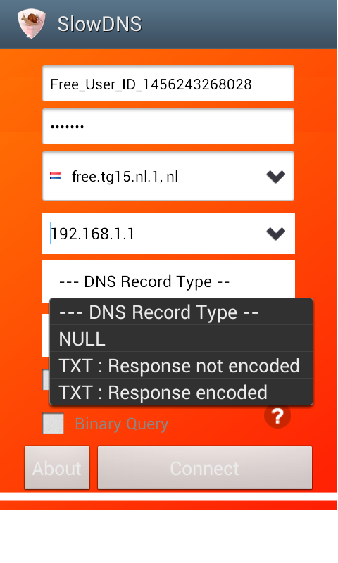 VPN Over DNS  Tunnel : SlowDNS