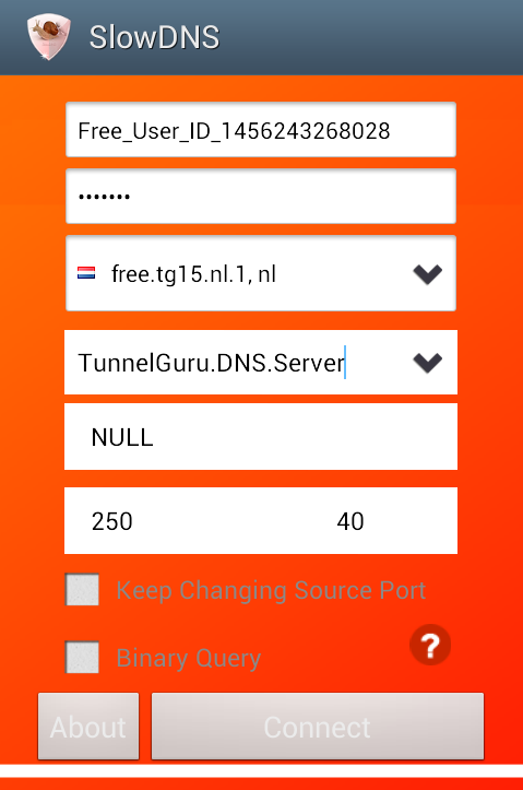 VPN Over DNS  Tunnel : SlowDNS