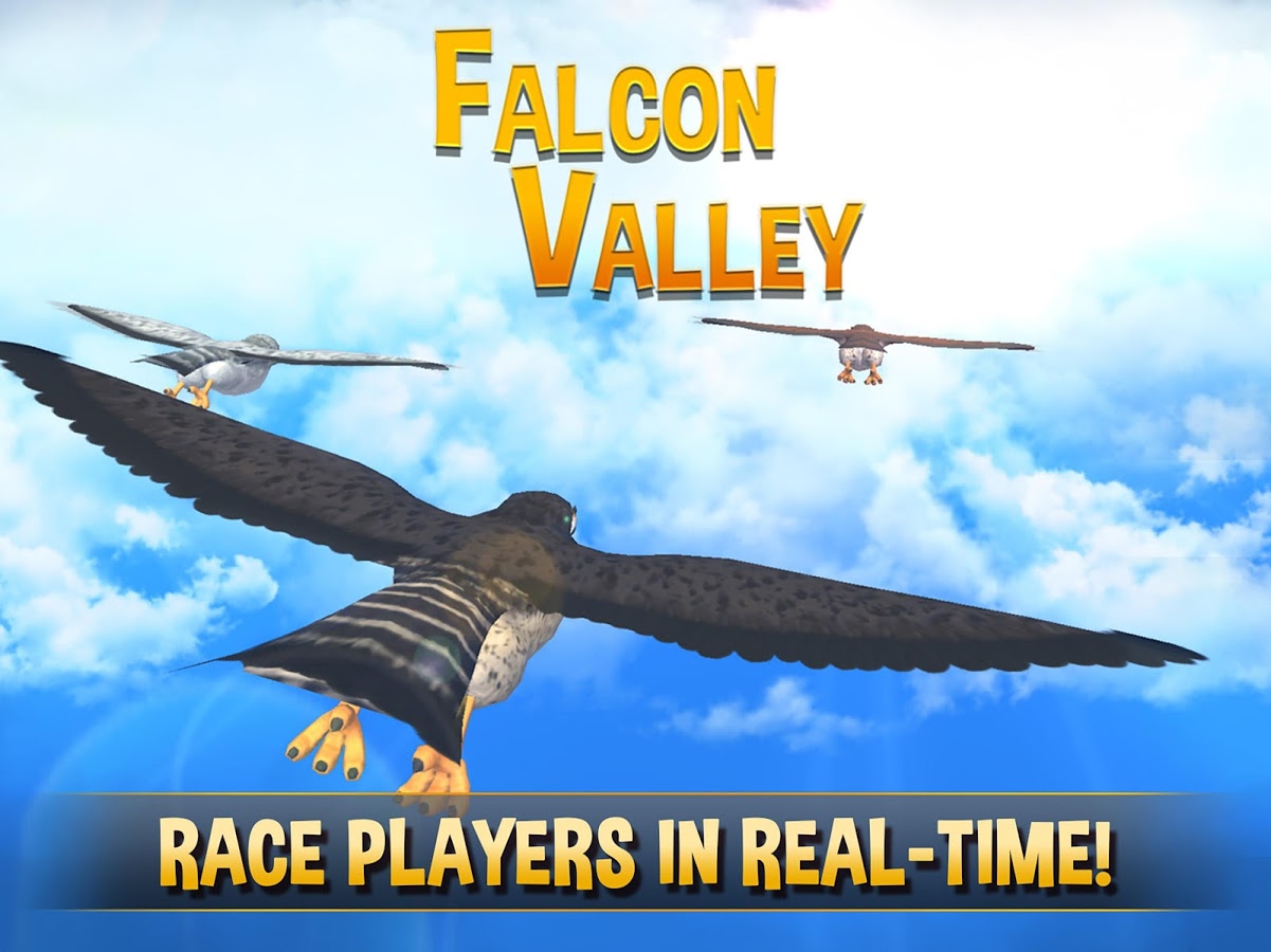 Falcon Valley Multiplayer Race