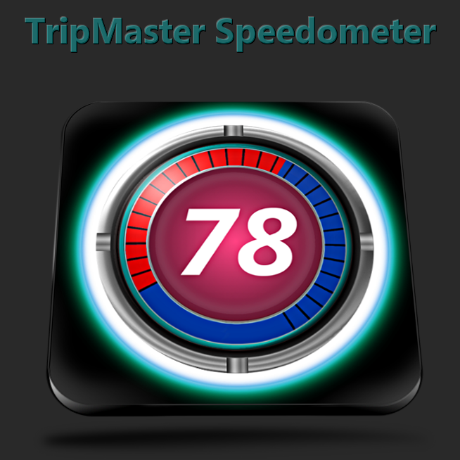 High Precision Speedometer & Odometer - TripMaster