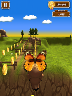 Animals Run (Mod Money)