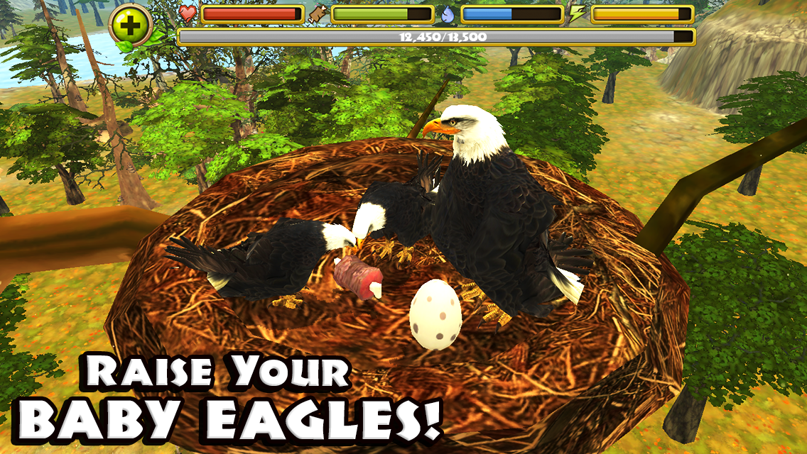 Eagle Simulator