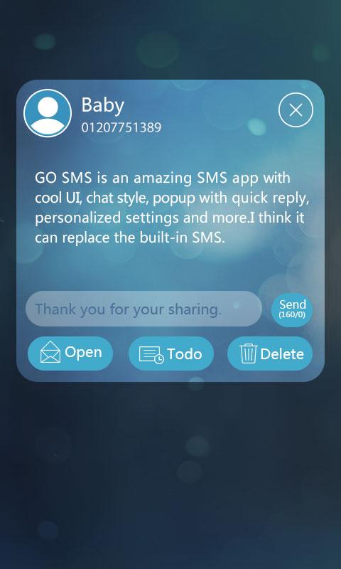 GO SMS Pro Briefness Theme EX