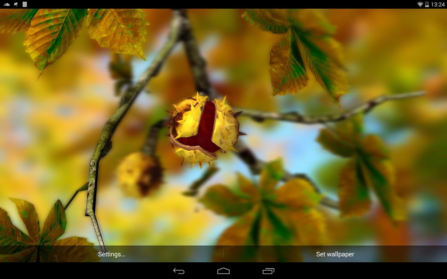 Autumn Leaves in HD Gyro 3D XL