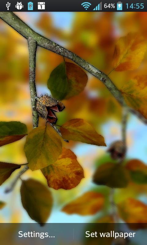 Autumn Leaves in HD Gyro 3D XL