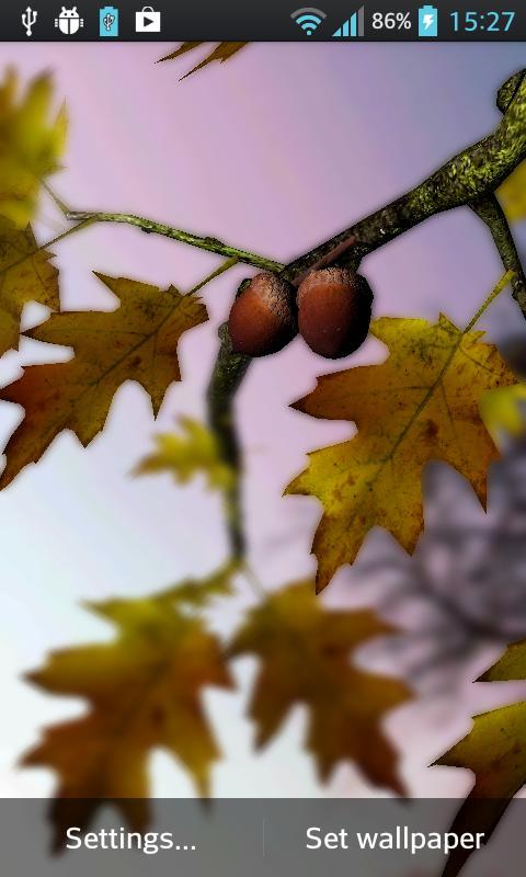 Autumn Leaves in HD Gyro 3D XL