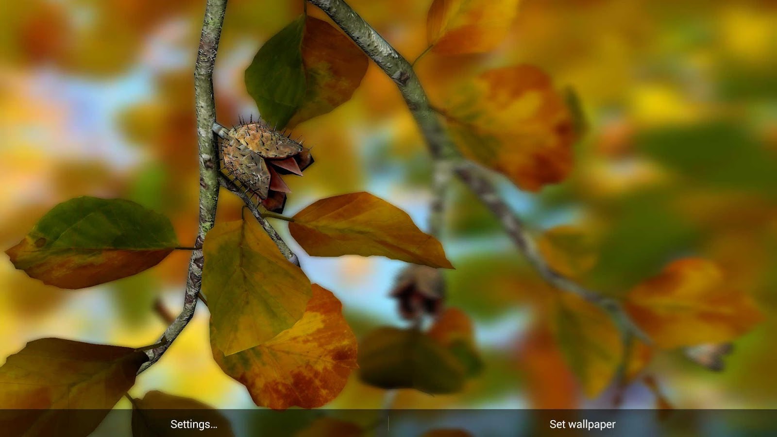 Autumn Leaves in HD Gyro 3D XL