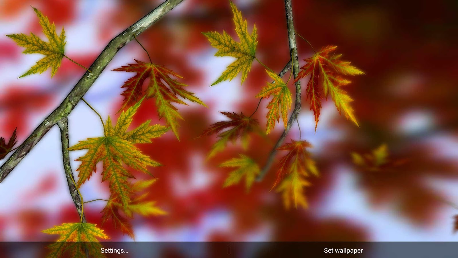 Autumn Leaves in HD Gyro 3D XL