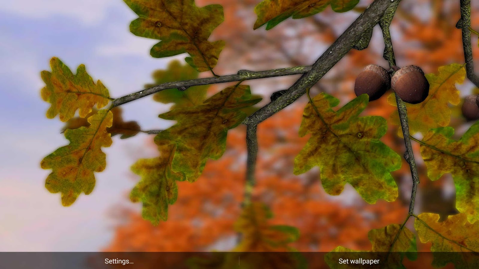 Autumn Leaves in HD Gyro 3D XL