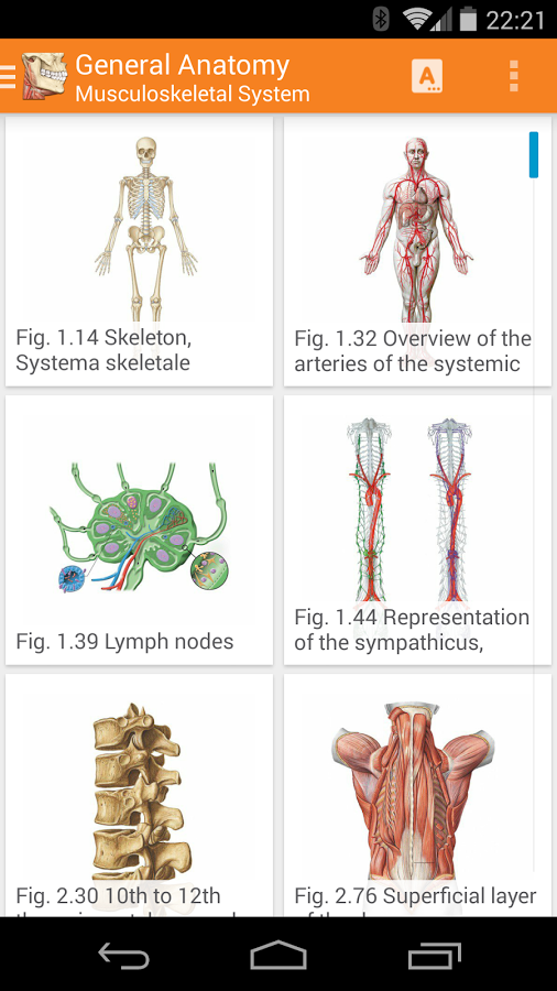 Sobotta Anatomy Atlas LITE
