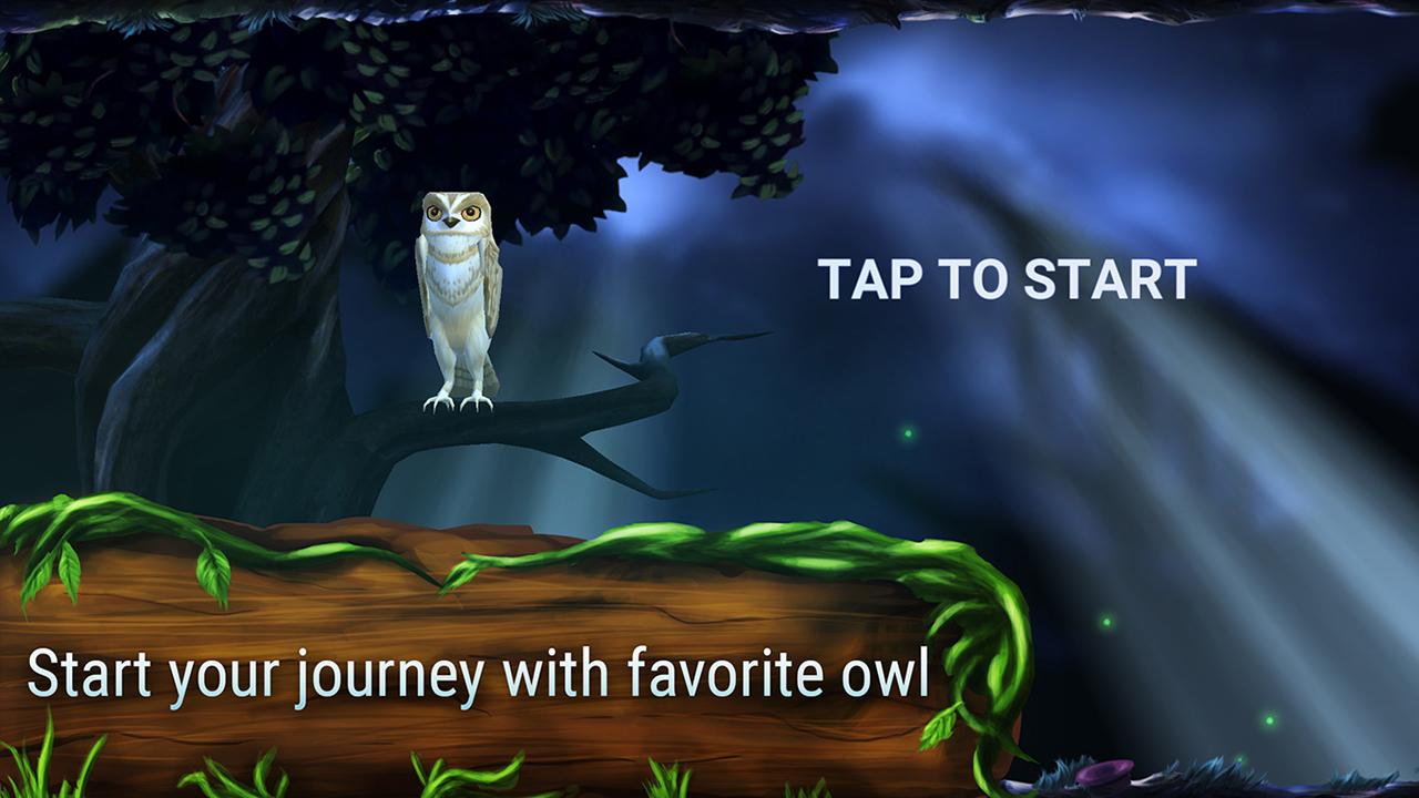 Owl's Midnight Journey (Mod Money)