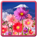 Flowers HD LWP! 2.0