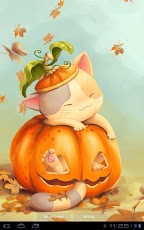 Pumpkin Kitten Live Wallpaper