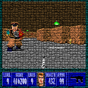 Wolfenstein 3D 11