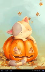 Pumpkin Kitten Live Wallpaper