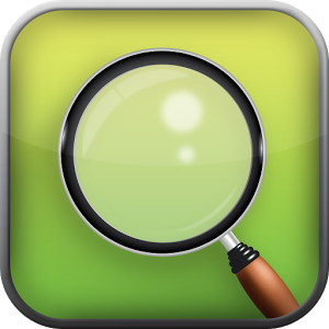 Pocket Magnifier with LED 1.1.6