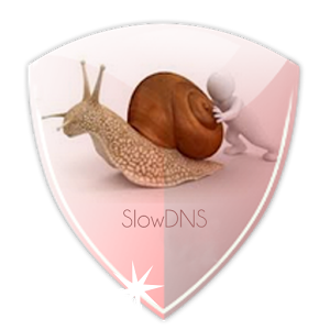 VPN Over DNS  Tunnel : SlowDNS 2.5.3