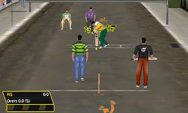 Street Cricket Pro