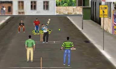 Street Cricket Pro