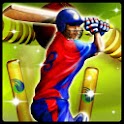 Cricket T20 Fever 3D 14.0