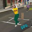Street Cricket Pro 4.0