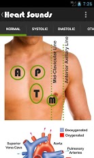 Medical Doctor: Reference Tool