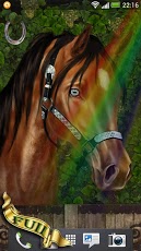 Arabian Horse Wallpaper