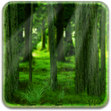 RealDepth Forest LWP 1.0.8
