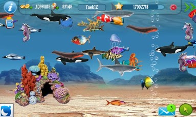 Tap Fish Exotic