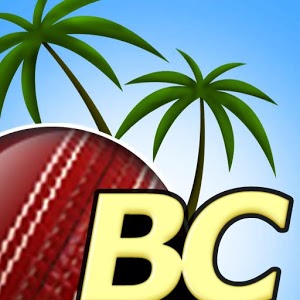 Beach Cricket Pro 2.5.1
