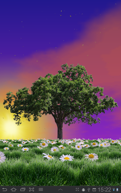 Summer Trees Live Wallpaper