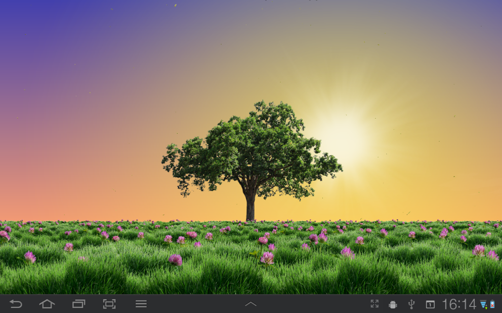 Summer Trees Live Wallpaper