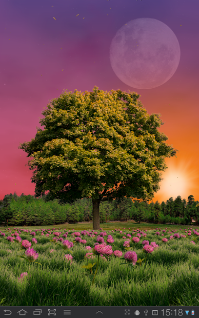 Summer Trees Live Wallpaper