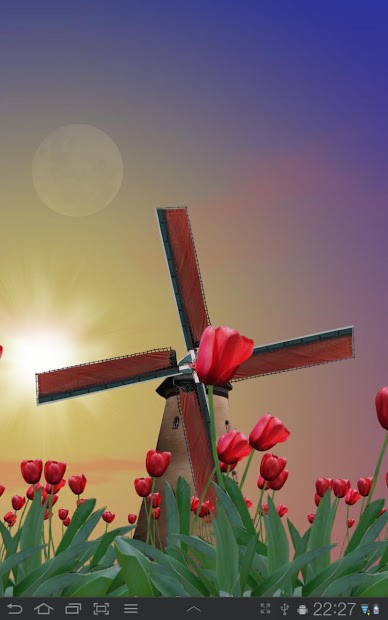 Tulip Windmill Live Wallpaper