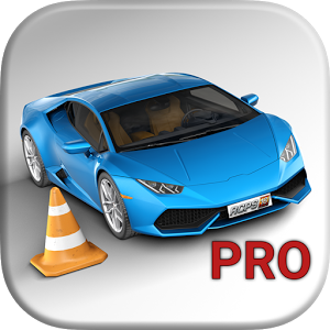 Real Car Parking Simulator Pro (Mod Money)