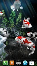 My 3D Fish II