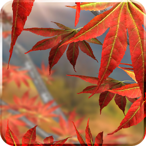 Autumn Tree Live Wallpaper 1.4