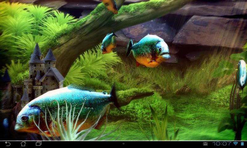 Piranha Aquarium 3D lwp