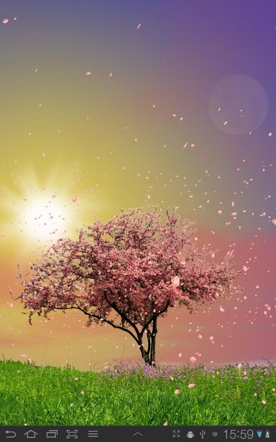 Spring Trees Live Wallpaper