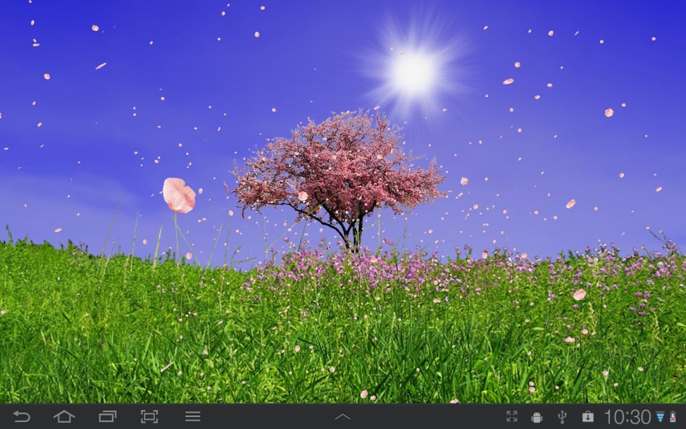 Spring Trees Live Wallpaper