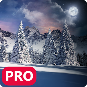 Real Snowfall Day Night PRO 2.11