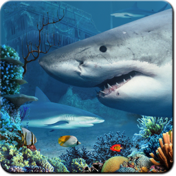 Shark Reef Live Wallpaper 1.0.0