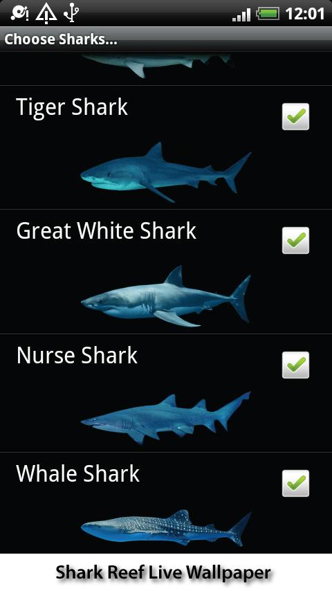 Shark Reef Live Wallpaper