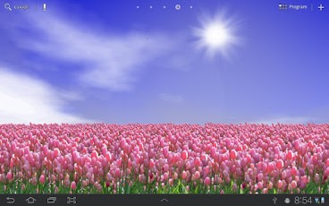 Tulip Field Live Wallpaper