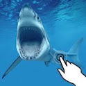 Magic touch: Attacking shark