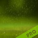 Springtide Shower LWP Pro 1.0