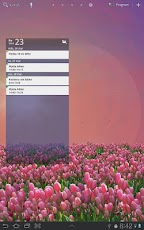 Tulip Field Live Wallpaper