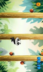 Panda vs Bugs HD Premium