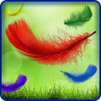 Feather Live Wallpaper HD Full 1.0