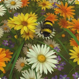 Bee Live Wallpaper HD 4.0